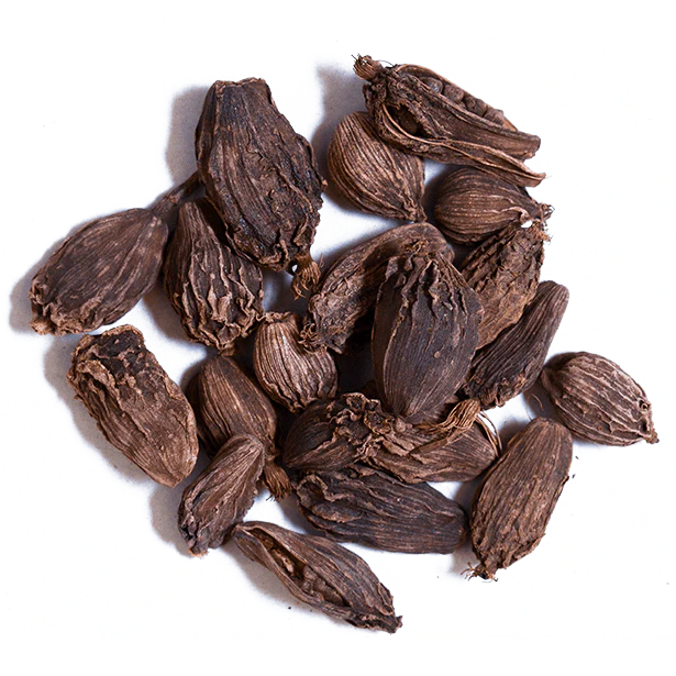 Cardamom, Black Cardamom Pods - Image 3