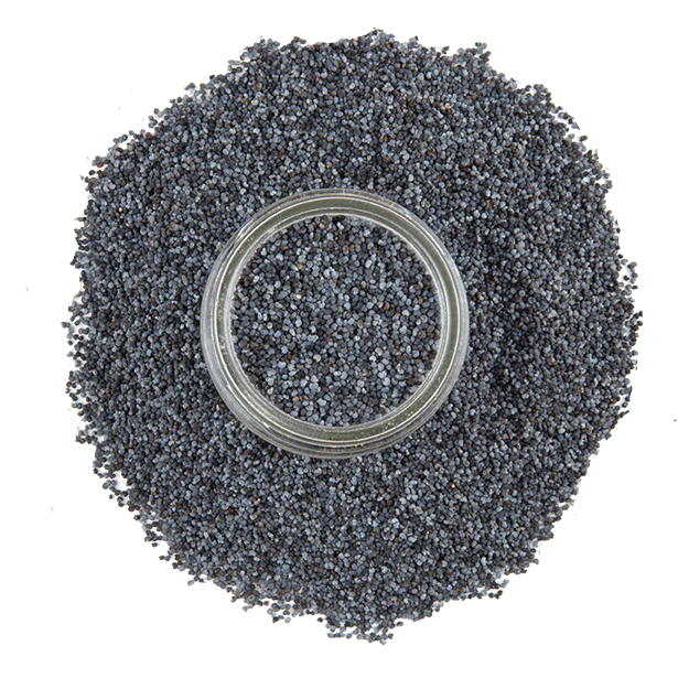Poppy Seeds - Image 4