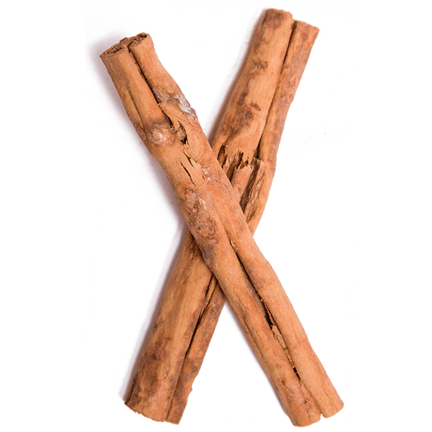 Cinnamon, Ceylon 5" Quills - Image 3
