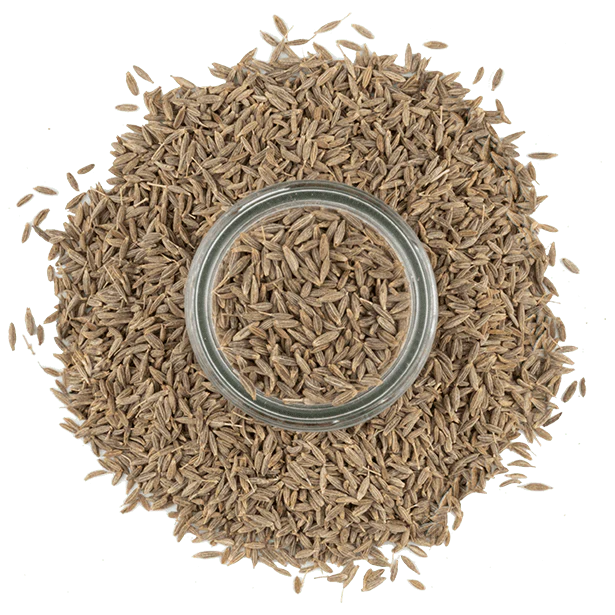 Cumin, Whole Seeds - Image 4