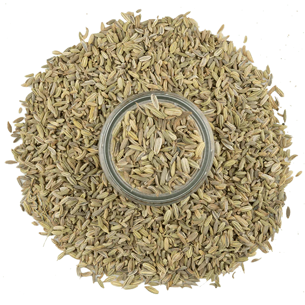 Fennel, Whole Seeds - Image 4
