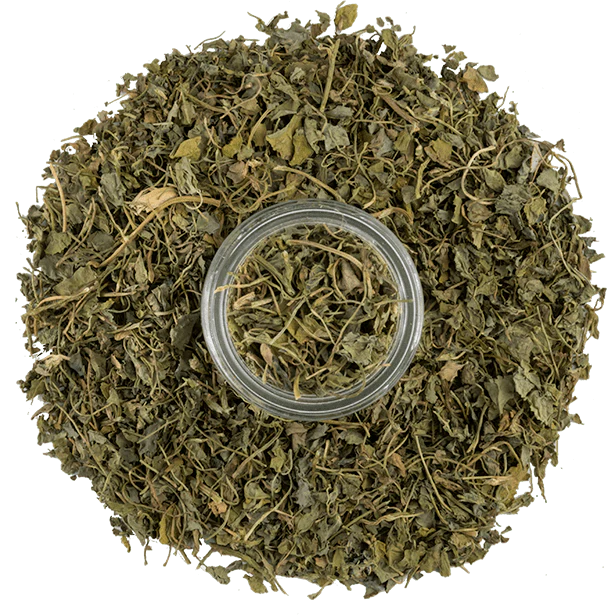 Fenugreek Leaves - Image 3