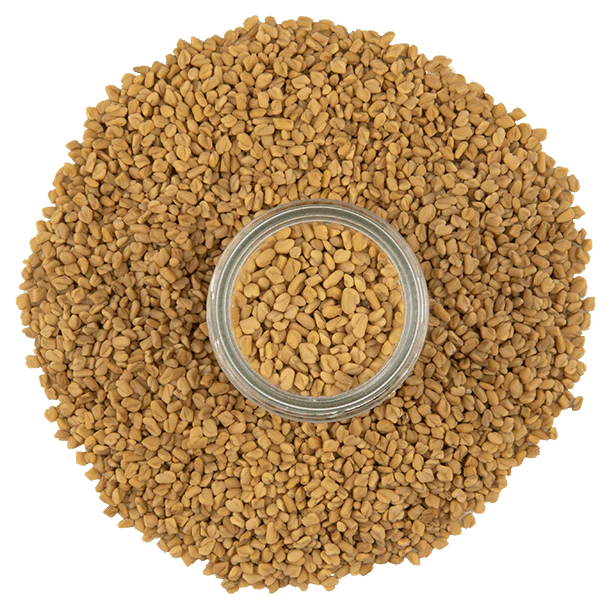 Fenugreek, Whole Seeds - Image 4
