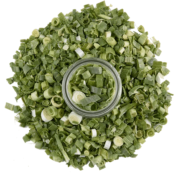 Scallions - Image 2