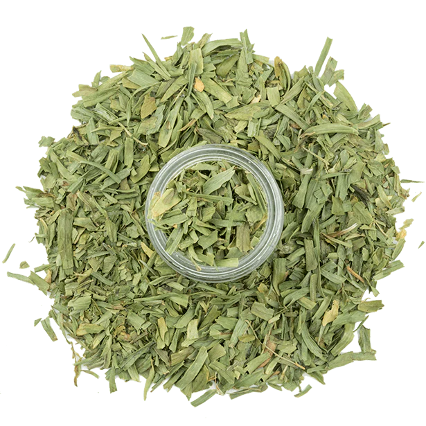 Tarragon - Image 4