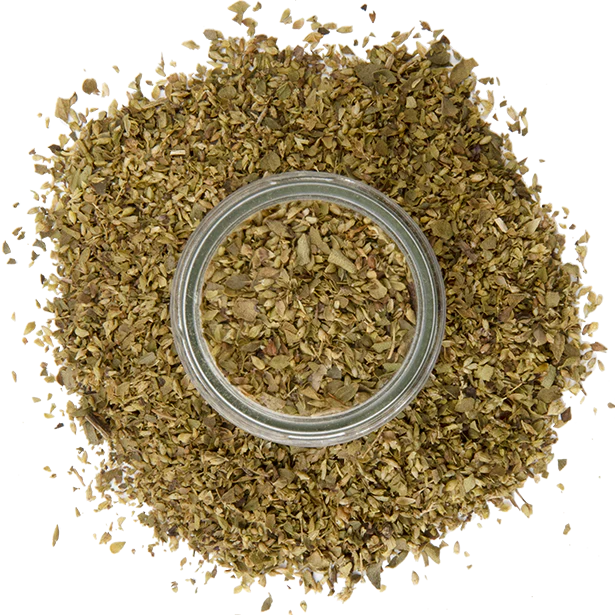 Oregano, Greek - Image 4