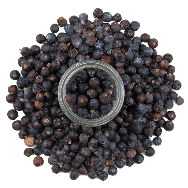 Juniper Berries - Image 4