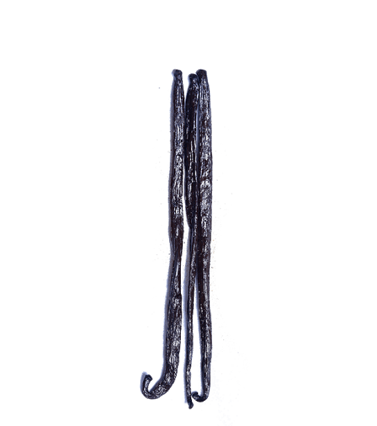 Vanilla Beans, Madagascar - Image 3