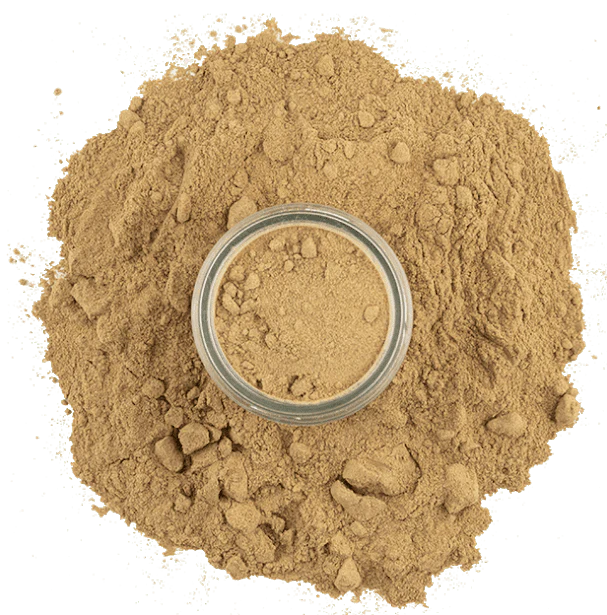 Mushrooms, Porcini Powder - Image 4