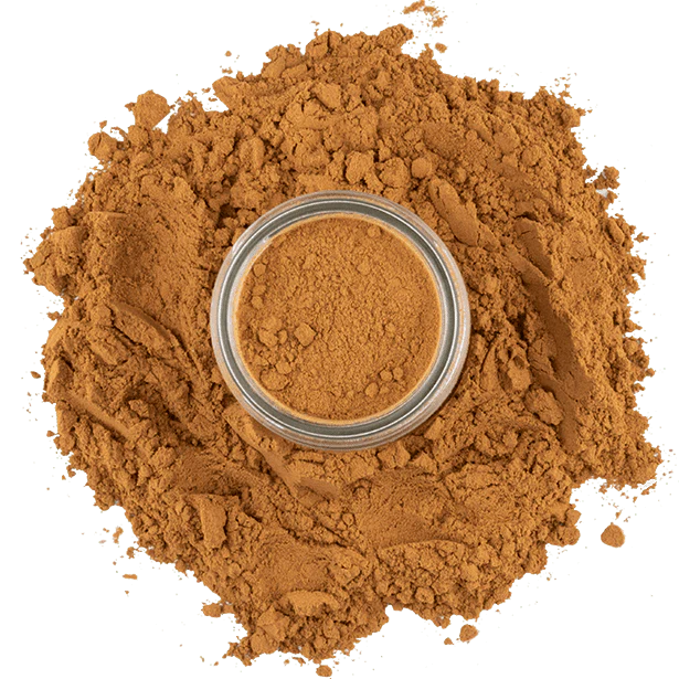 Cinnamon, Saigon Ground - Image 4