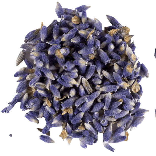 Lavender, Ultra-Blue Select - Image 4