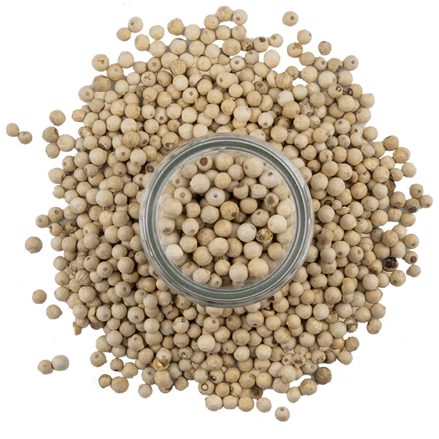 Peppercorns, White - Image 4