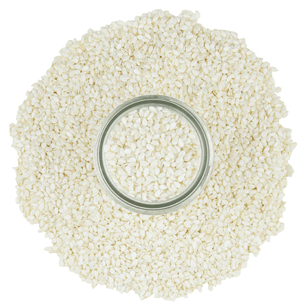 Sesame, White Seeds - Image 2