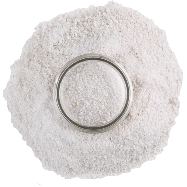 Salt, Truffle White - Image 4